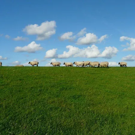 Apartment Ostfriesland Dachgeschoss Dornumersiel